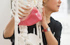 YTU Integrated Embodied Anatomy Training